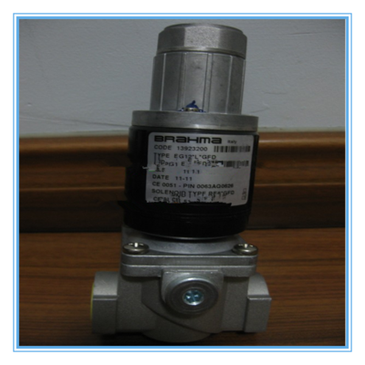 意大利--巴拿马(BRAHMA)燃气电磁阀:EG12系列电磁阀